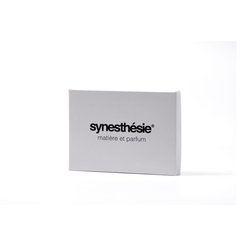 Discovery Kit — Synesthesie